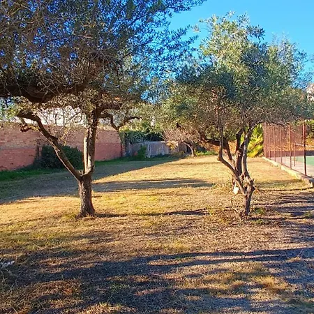 Masia